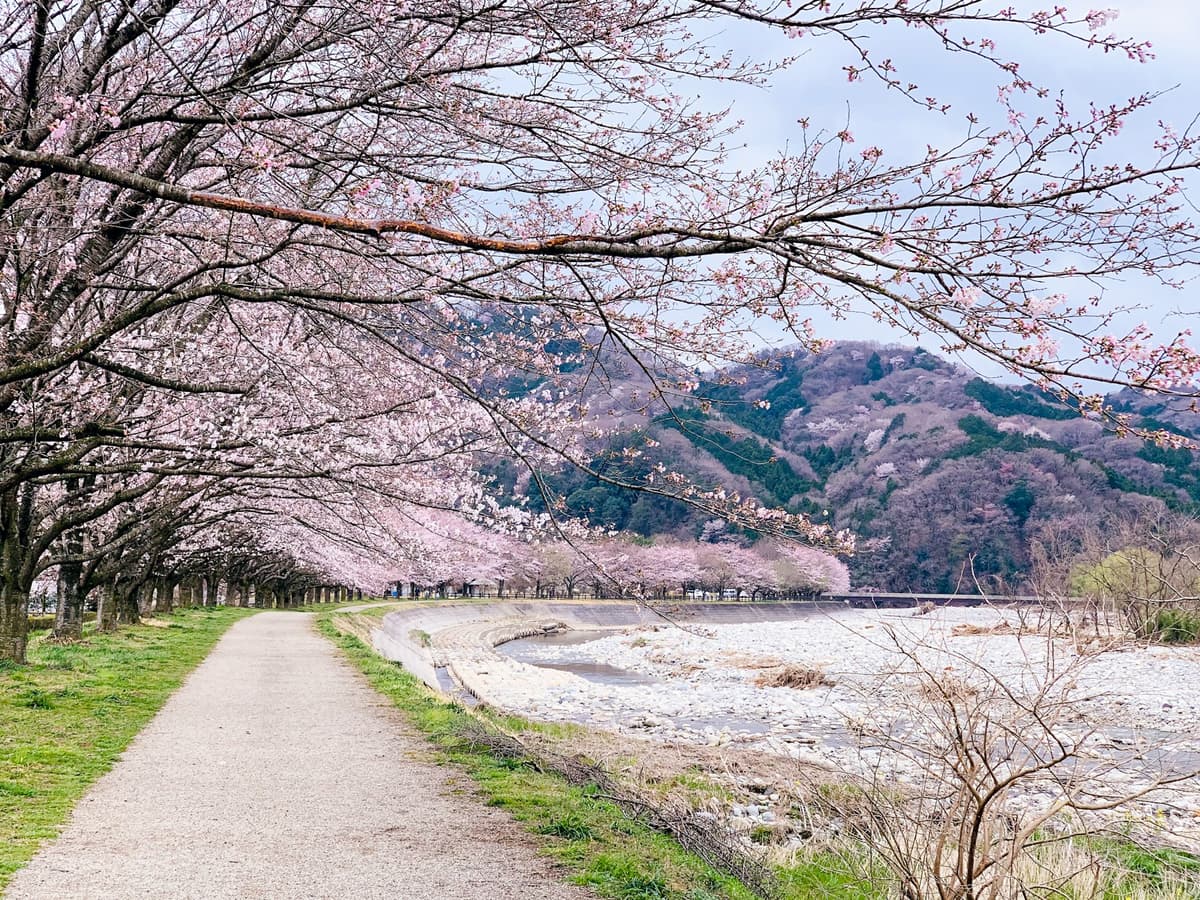 Japan (KDDI) package(5G 30days)